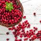 Mobile Preview: Cranberry in einer Korb und Beeren auf dem Tisch rustikaler weißer Hintergrund
