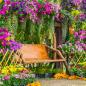 Preview: Blumen Garten mit einer Sitzbank in der Mitte rustikaler Hintergrund
