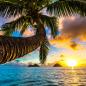 Preview: Eine Palme die über das Meer wächst Sonnenuntergang im Hintergrund
