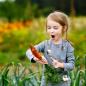 Preview: Kind staunt was unter der Erde so wächst eine riesen Karotte grüner rustikaler Hintergrund