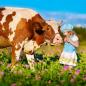 Preview: Kuh und kleines Mädchen auf einer Blumenwiese hellblauer Horizont im Hintergrund
