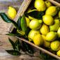 Preview: Viele Zitronen teileweise mit Blättern in einer Holzkiste
