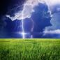 Preview: Getreidefeld mit Gewitterwolken und Blitzen im Hintergrund
