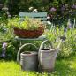 Preview: Kräutergarten mit einem Klappstuhl mit einen Korb Kräutern rustikalen Garten im Hintergrund