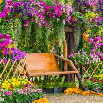 Blumen Garten mit einer Sitzbank in der Mitte rustikaler Hintergrund