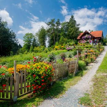 Omas Garten mit Haus weißblauer Wolken am Horizont als Hintergrund