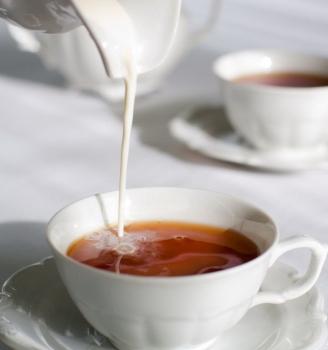 Weiße Teetassen mit Tee gefüllt werden gerade mit Milch gefüllt weißer Hintergrund