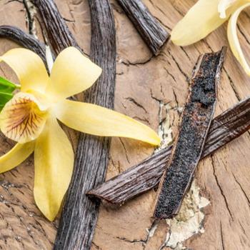Vanilleschoten frisch aufgeschnitten und eine gelbe Orchidee Holz Hintergrund