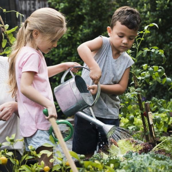 Kinder Gießen die Pflanzen im Garten grüner rustikaler Hintergrund