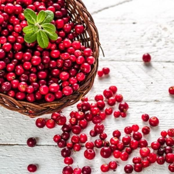 Cranberry in einer Korb und Beeren auf dem Tisch rustikaler weißer Hintergrund