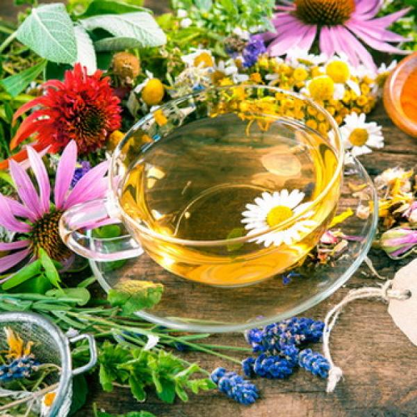 Eine Tasse Kräutertee mit vielen Blumen und Kräuter als Hintergrund
