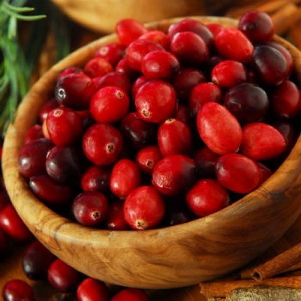 Cranberries im und vorm Schale rustikaler Hintergrund