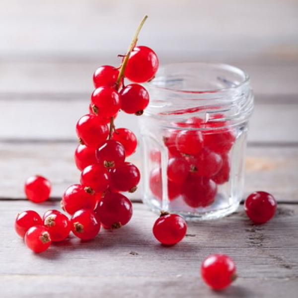 Rote Johannisbeeren auf einer grauen Holzplatte