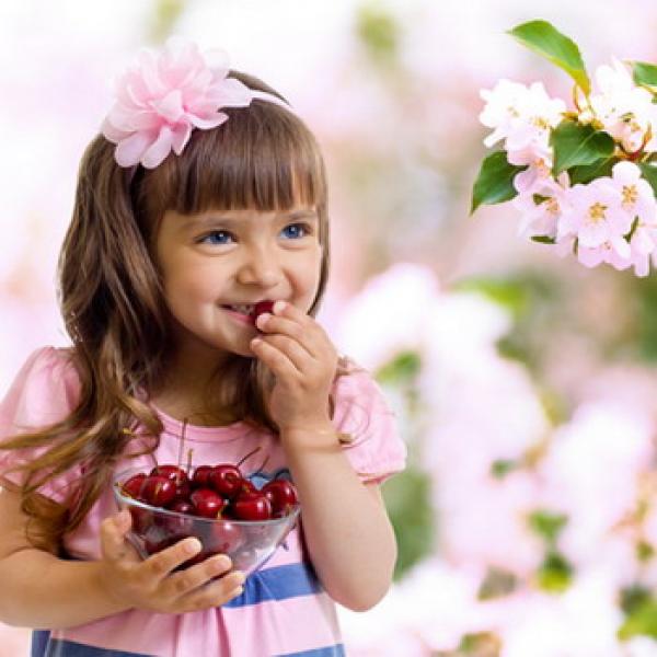 Kleines Mädchen mit Blume im Haar nascht Kirschen weißrosa Blüten Hintergrund