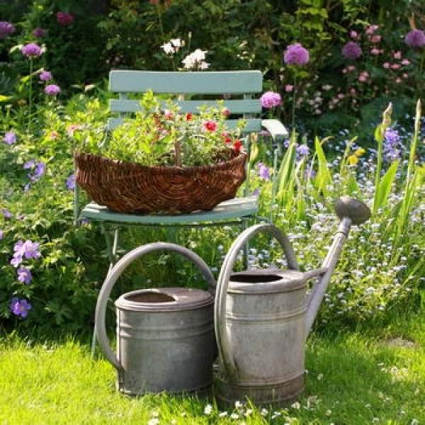 Kräutergarten mit einem Klappstuhl mit einen Korb Kräutern rustikalen Garten im Hintergrund